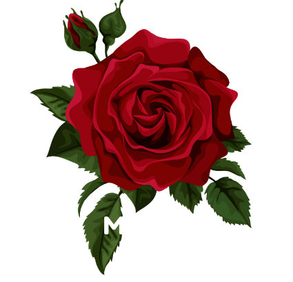 madhuriherbals.com